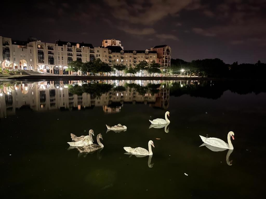 Vue Exceptionnelle Sur Le Lac Créteil Eksteriør billede